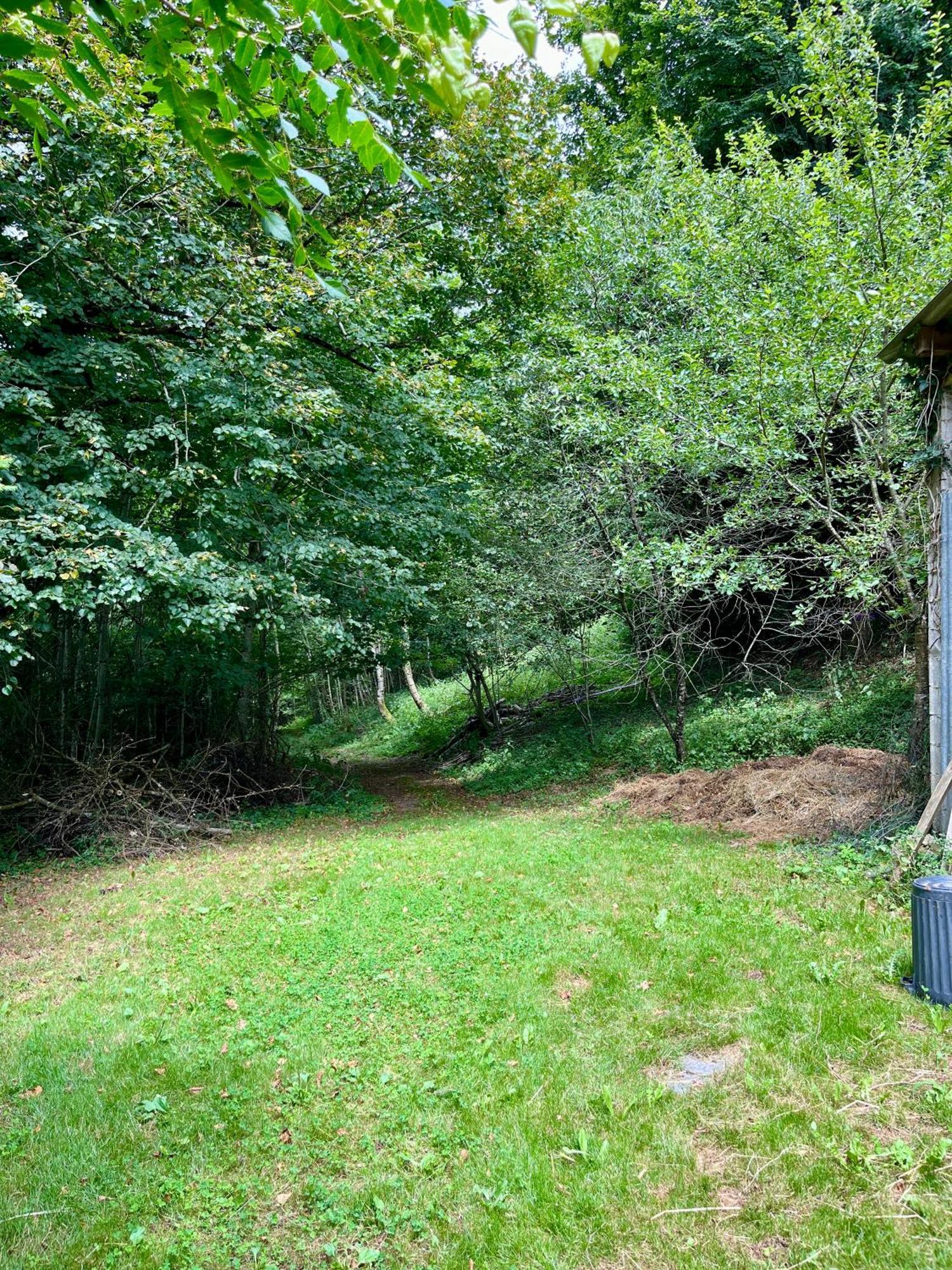 Parenthese En Foret - Lodge Baliveau Le Bez  Екстериор снимка
